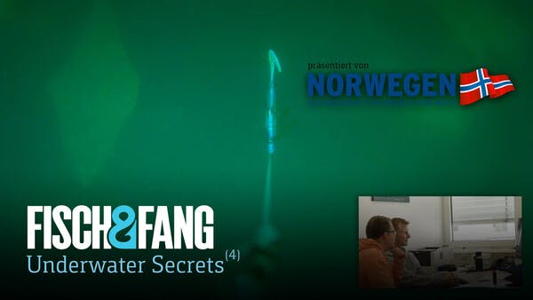 So ticken Fische: Norwegen Spezial