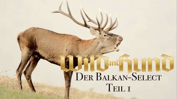 Der Balkan-Select, Brunft in Bulgarien, Teil 1