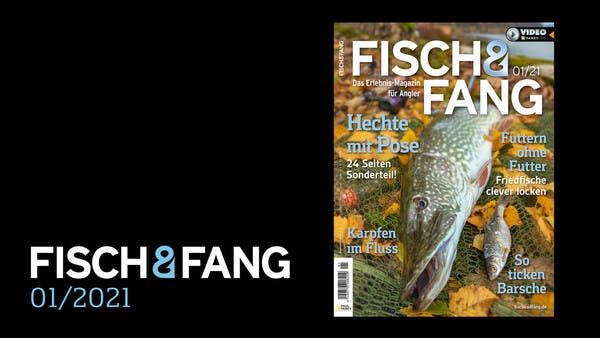 FISCH & FANG 01/2021