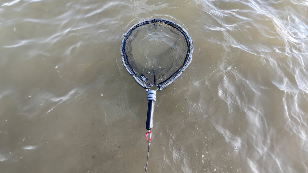 Kescher schwimmen lassen