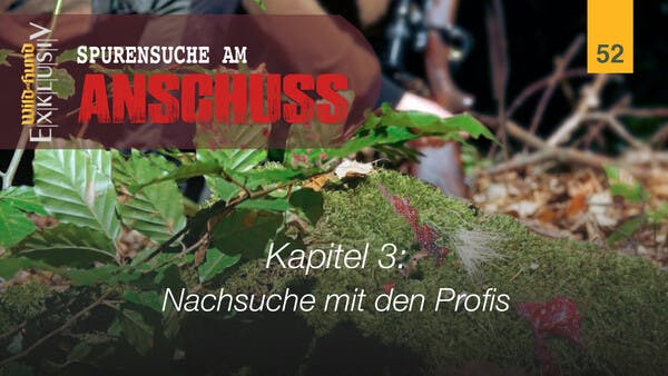 Spurensuche am Anschuss - Kapitel 3 Nachsuche mit den Profis | WILD UND HUND-Exklusiv 52