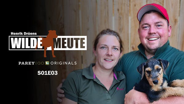 Henrik Drüens Wilde Meute | Die Meute bekommt Zuwachs und Drückjagdvorbereitung | Folge 3