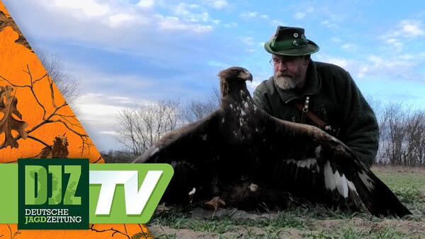 Mit Steinadler auf Nutria