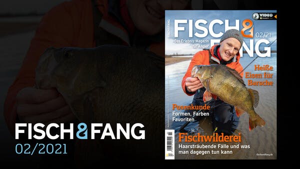 FISCH & FANG 02/2021