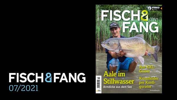 FISCH & FANG 07/2021