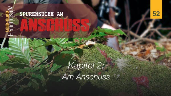 Spurensuche am Anschuss - Kapitel 2 Am Anschuss | WILD UND HUND-Exklusiv 52