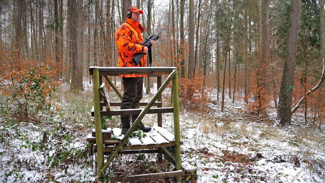 Top 5 Drückjagd-Fehler