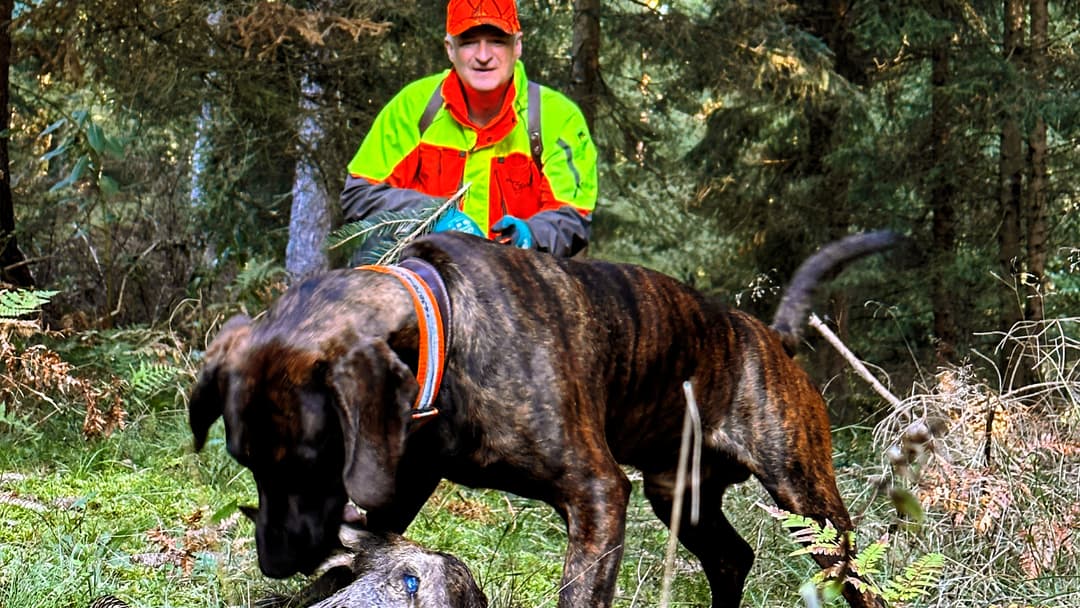 Ein Hund verändert einfach alles