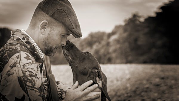 Wenn der Jagdhund alt wird: Die letzte Jagd