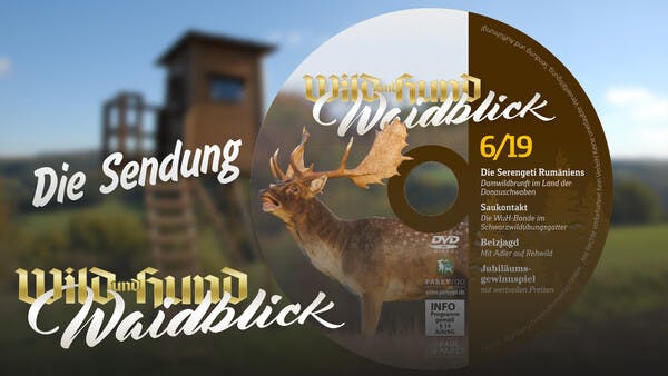 Waidblick - Die Sendung - Folge 6 2019