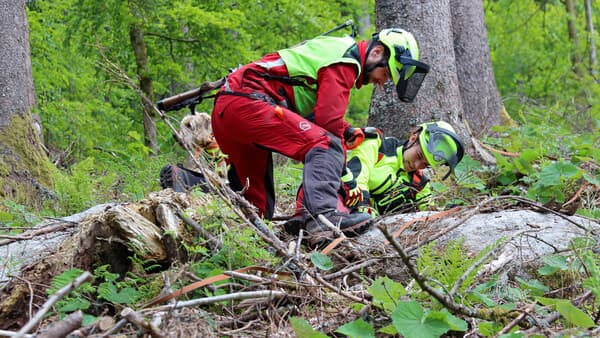 Ein etwas anderer Sonntag