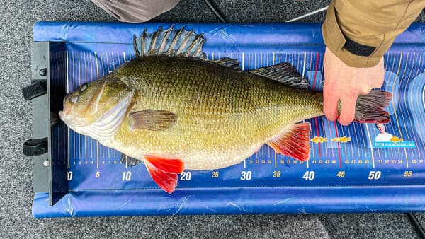 Wann kommt der 60er?