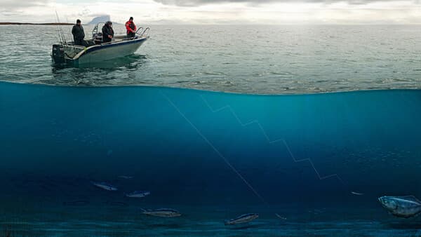 Eine Frage der Führung