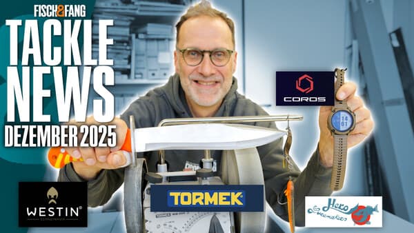 Tackle-News: Dezember 2025