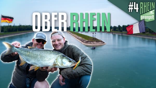 RHEINgeangelt: Der Oberrhein