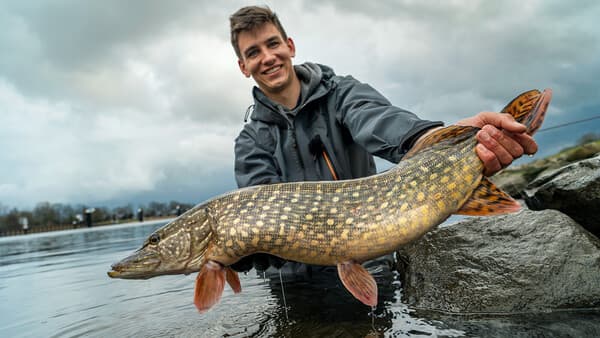 Unterwegs mit Profis