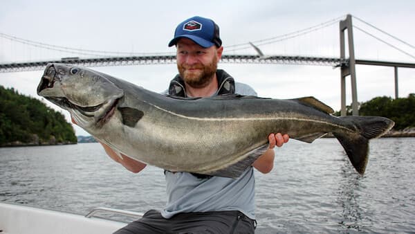 Das Großköhler-Projekt