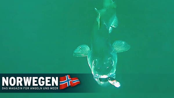 Norwegen unter Wasser