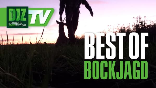Best of Bockjagd