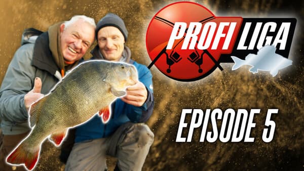Profi-Liga Barsch: Folge 5