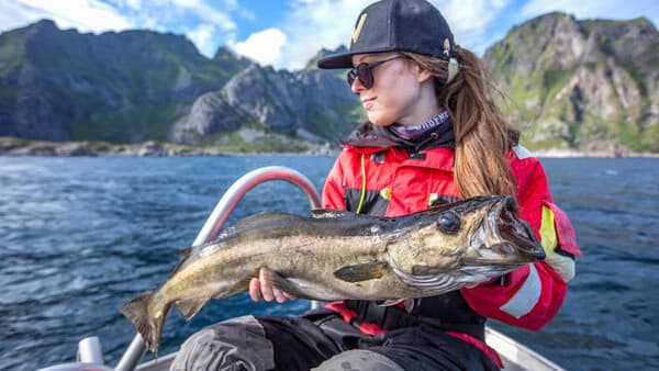 Knack den Pollack-Code