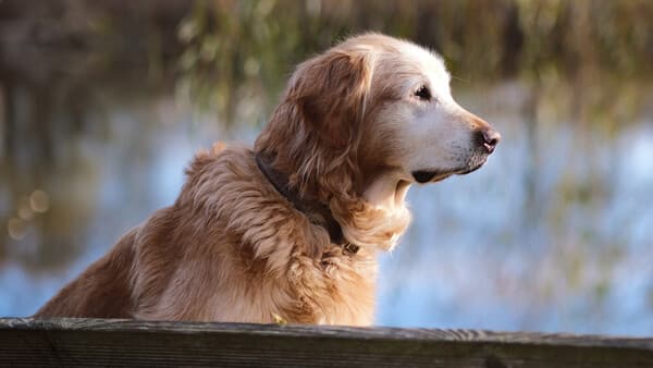Fitness für den Kopf