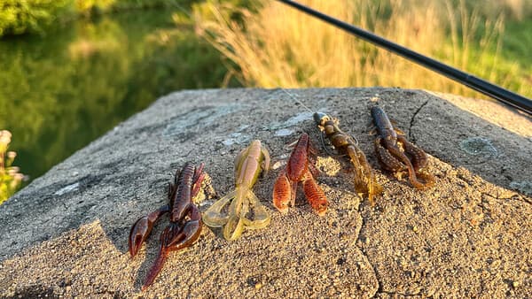 Top-Rigs für Krebse