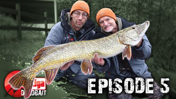 Profi-Liga Deadbait: Folge 5