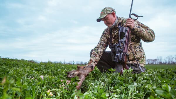 Wider besseres Wissen