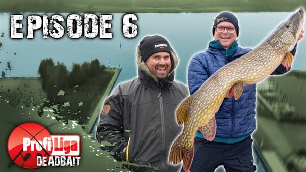 Profi-Liga Deadbait: Folge 6