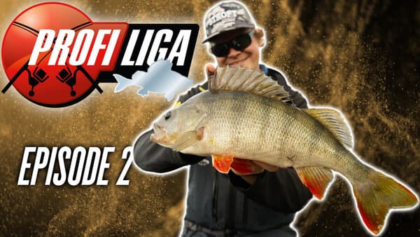 Profi-Liga Barsch: Folge 2