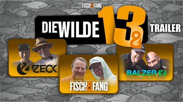 Trailer: Die Wilde 13