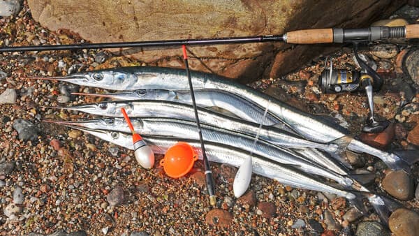 Flugbegleiter an der Küste