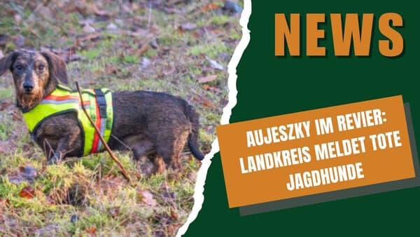 DJZ-News 3. Dezember 2025