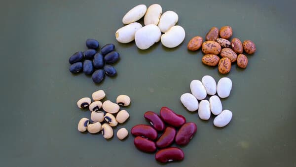 Interessiert mich die Bohne