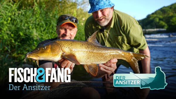 Der Ansitzer: Mit Jan Lock an der Sieg