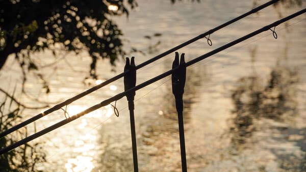 Nachts erwacht der Fluss