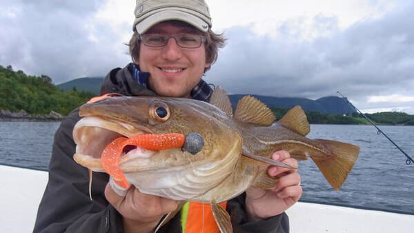 Dorsche auf Zanderart